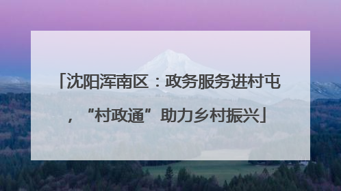 沈阳浑南区：政务服务进村屯，“村政通”助力乡村振兴