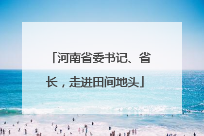 河南省委书记、省长，走进田间地头