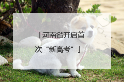 河南省开启首次“新高考”