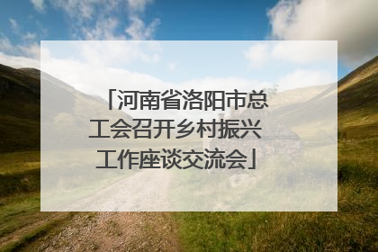 河南省洛阳市总工会召开乡村振兴工作座谈交流会
