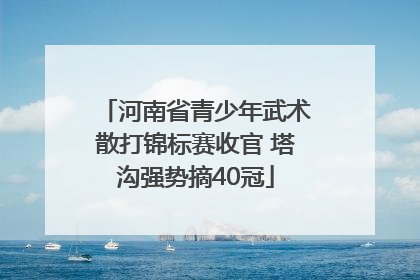河南省青少年武术散打锦标赛收官 塔沟强势摘40冠
