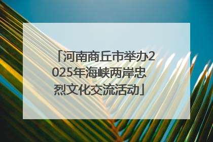 河南商丘市举办2025年海峡两岸忠烈文化交流活动