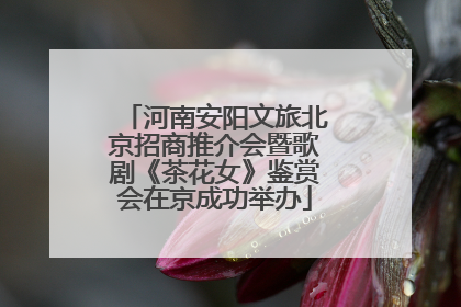 河南安阳文旅北京招商推介会暨歌剧《茶花女》鉴赏会在京成功举办