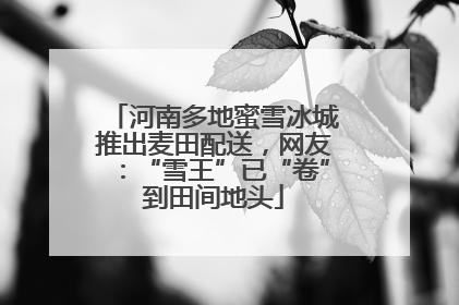 河南多地蜜雪冰城推出麦田配送，网友：“雪王”已“卷”到田间地头