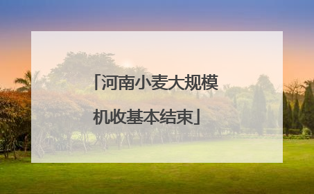 河南小麦大规模机收基本结束