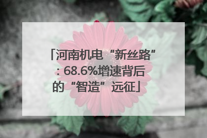 河南机电“新丝路”：68.6%增速背后的“智造”远征
