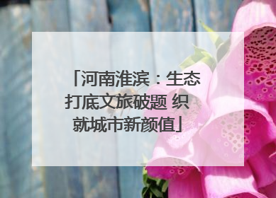河南淮滨：生态打底文旅破题 织就城市新颜值