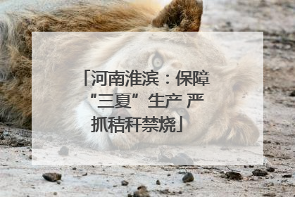 河南淮滨：保障“三夏”生产 严抓秸秆禁烧