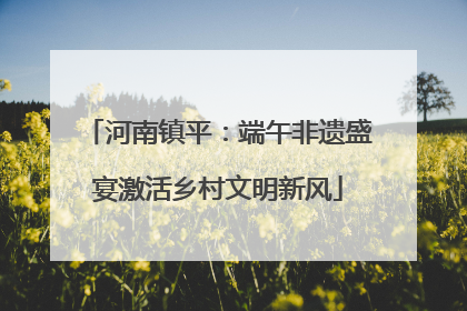 河南镇平：端午非遗盛宴激活乡村文明新风