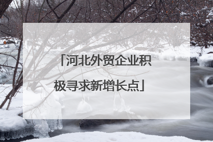 河北外贸企业积极寻求新增长点