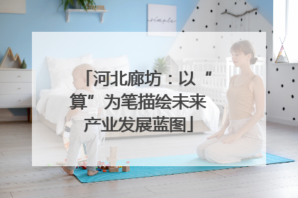 河北廊坊：以“算”为笔描绘未来产业发展蓝图