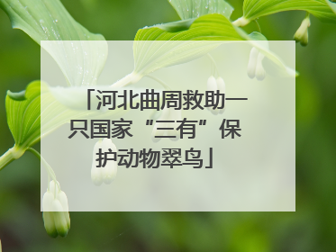 河北曲周救助一只国家“三有”保护动物翠鸟