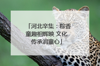 河北辛集：粽香童趣相辉映 文化传承润童心