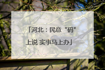 河北：民意“码”上说 实事马上办