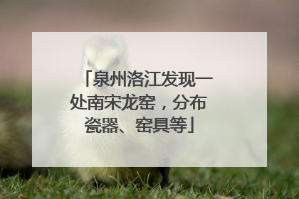 泉州洛江发现一处南宋龙窑，分布瓷器、窑具等