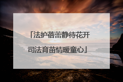法护蓓蕾静待花开 司法育苗情暖童心