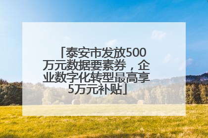泰安市发放500万元数据要素券，企业数字化转型最高享5万元补贴