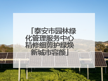 泰安市园林绿化管理服务中心精修细剪护绿焕新城市容颜