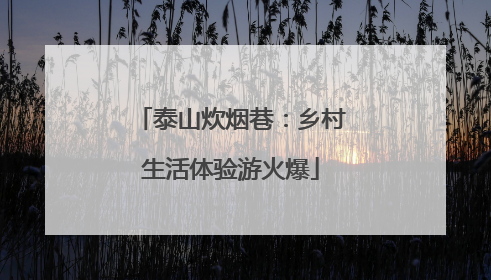 泰山炊烟巷：乡村生活体验游火爆