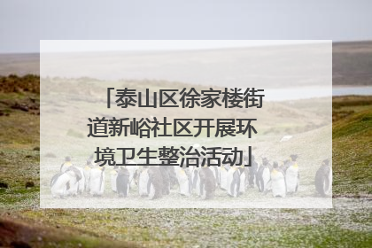 泰山区徐家楼街道新峪社区开展环境卫生整治活动