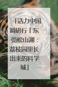 活力中国调研行丨东莞松山湖：荔枝园里长出来的科学城