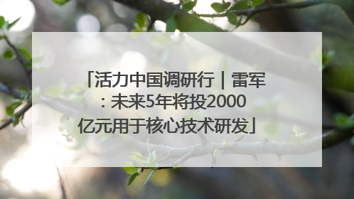 活力中国调研行｜雷军：未来5年将投2000亿元用于核心技术研发
