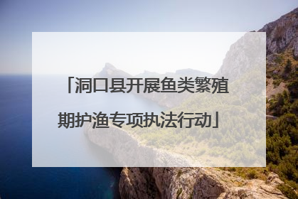 洞口县开展鱼类繁殖期护渔专项执法行动