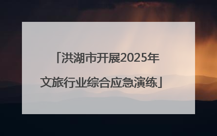 洪湖市开展2025年文旅行业综合应急演练