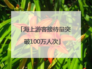 海上游客接待量突破100万人次