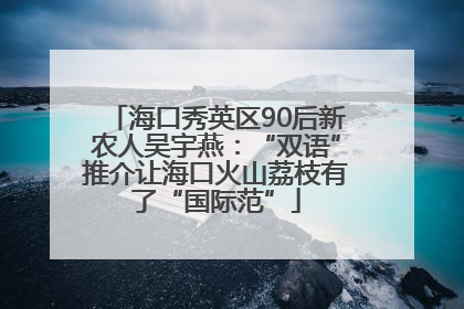 海口秀英区90后新农人吴宇燕：“双语”推介让海口火山荔枝有了“国际范”