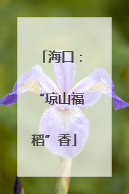 海口：“琼山福稻”香