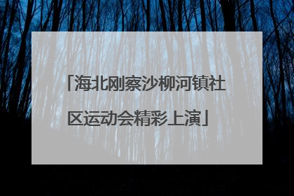 海北刚察沙柳河镇社区运动会精彩上演