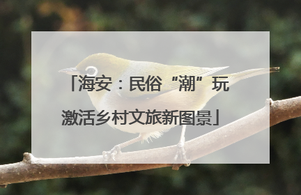海安：民俗“潮”玩激活乡村文旅新图景