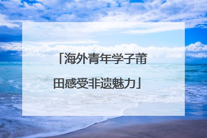 海外青年学子莆田感受非遗魅力