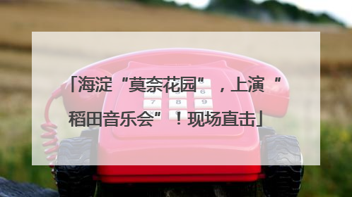 海淀“莫奈花园”，上演“稻田音乐会”！现场直击