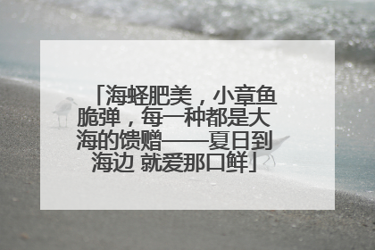 海蛏肥美，小章鱼脆弹，每一种都是大海的馈赠——夏日到海边 就爱那口鲜