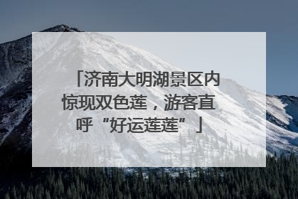 济南大明湖景区内惊现双色莲，游客直呼“好运莲莲”