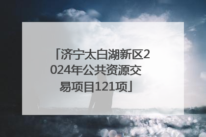 济宁太白湖新区2024年公共资源交易项目121项