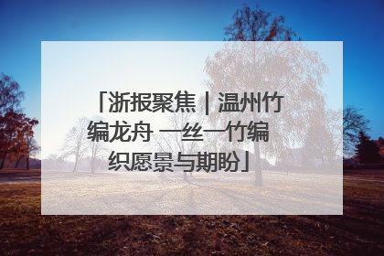 浙报聚焦｜温州竹编龙舟 一丝一竹编织愿景与期盼