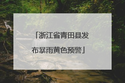 浙江省青田县发布暴雨黄色预警