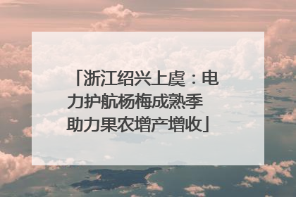 浙江绍兴上虞：电力护航杨梅成熟季 助力果农增产增收