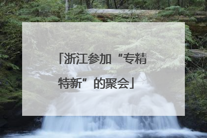 浙江参加“专精特新”的聚会
