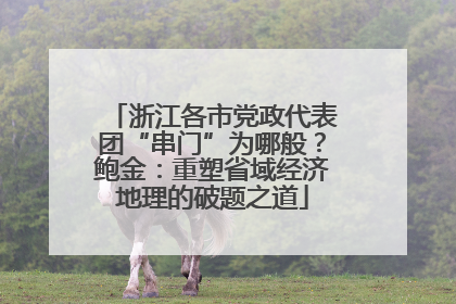浙江各市党政代表团“串门”为哪般？鲍金：重塑省域经济地理的破题之道