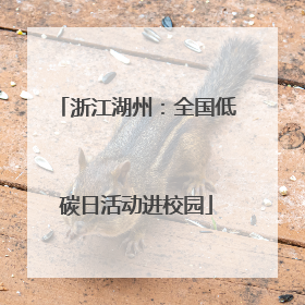 浙江湖州：全国低碳日活动进校园