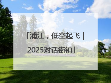 浦江，低空起飞｜2025对话街镇