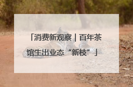 消费新观察｜百年茶馆生出业态“新枝”