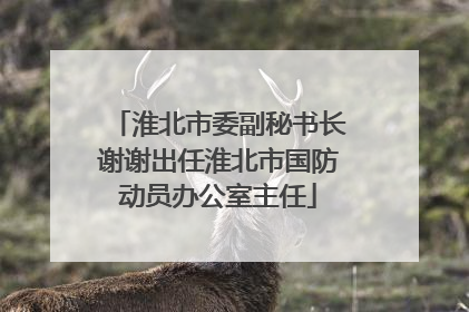 淮北市委副秘书长谢谢出任淮北市国防动员办公室主任