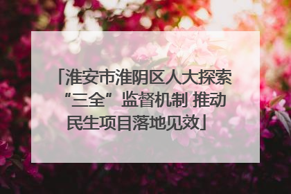 淮安市淮阴区人大探索“三全”监督机制 推动民生项目落地见效
