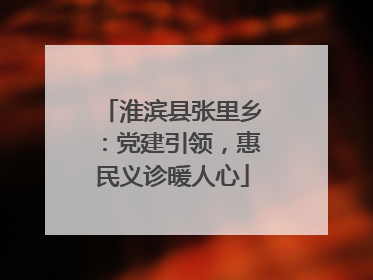 淮滨县张里乡：党建引领，惠民义诊暖人心