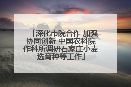 深化市院合作 加强协同创新 中国农科院作科所调研石家庄小麦选育种等工作